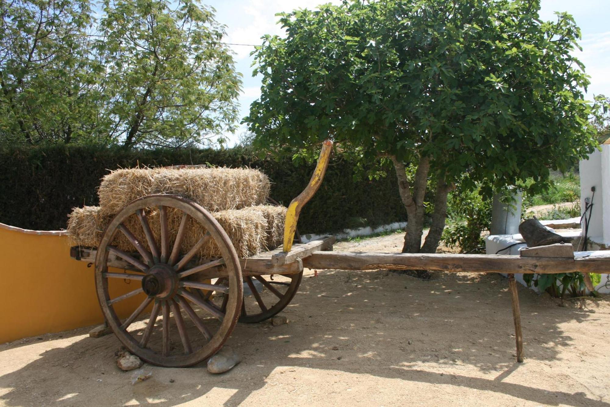 קוניל דה לה פרונטרה Hacienda Los Majadales מראה חיצוני תמונה