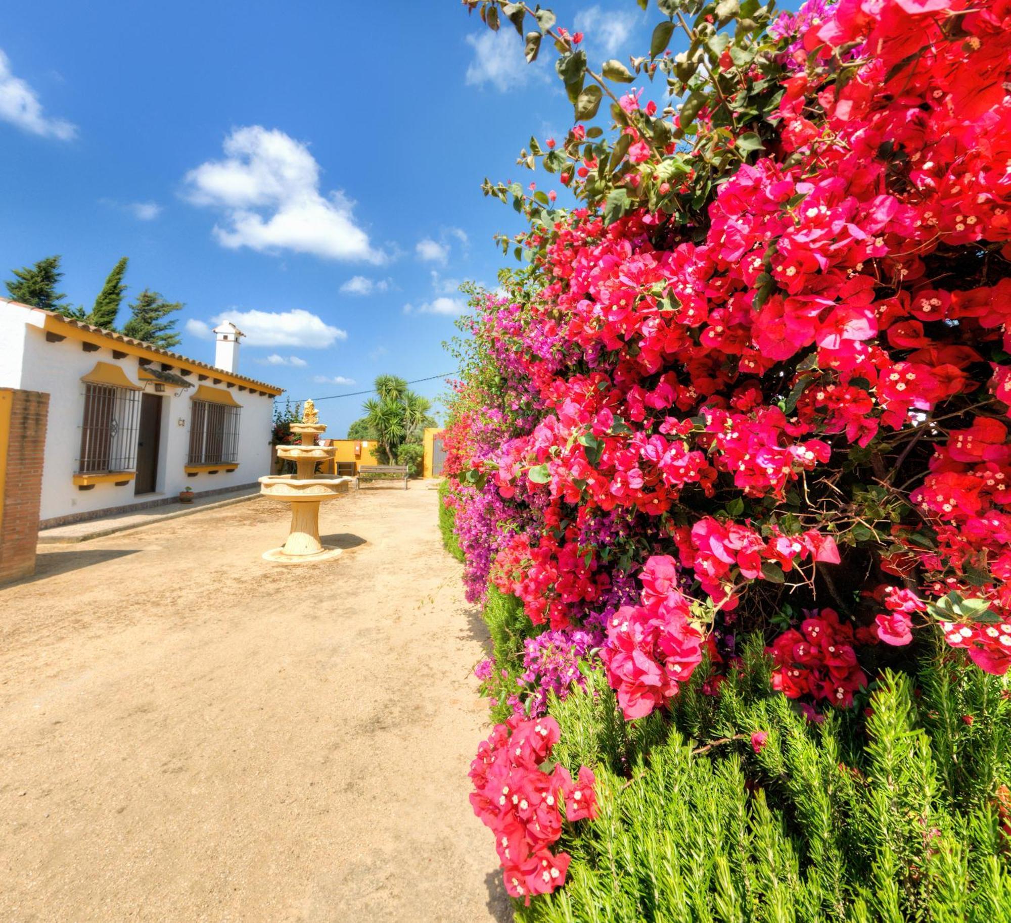 קוניל דה לה פרונטרה Hacienda Los Majadales מראה חיצוני תמונה